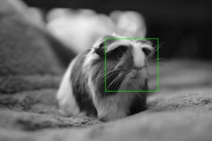 Photo Sharing Service #384<br>500 x 333<br>Published 8 years ago